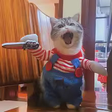 Funny Doll Cat Costume for Cats & Small Dogs – Soft Plush Pet Cosplay Outfit with Striped Shirt & Blue Overalls – Cute Halloween Costume for Parties, Photoshoots & Social Media