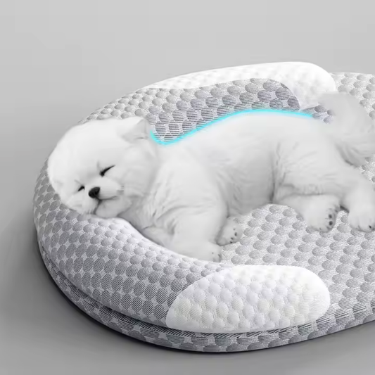 Orthopedic Calming Dog Bed for Small & Medium Dogs – Soft Washable Plush Pet Bed with Raised Rim, Breathable Anti-Slip Cushion | ASEES GLOBAL