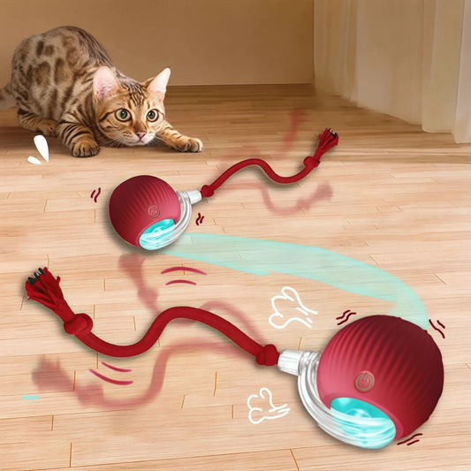 ASEES GLOBAL Interactive Cat Ball Toy – USB Rechargeable Automatic Rolling Ball with LED Light & Feather Tail, Smart Motion Activated Toy for Indoor Cats & Kittens