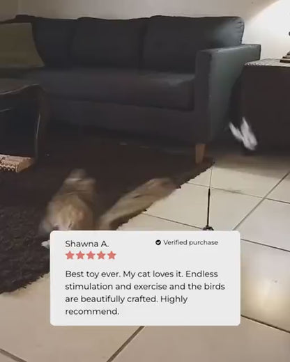 USB Rechargeable Flapping Bird Cat Toy